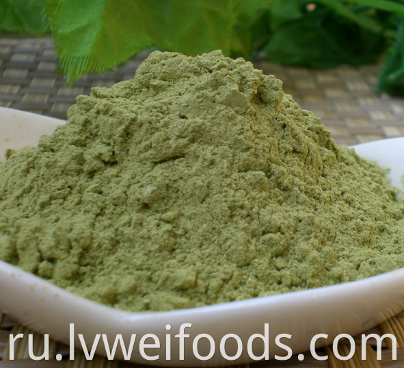 Dehydrated Scallion Powder